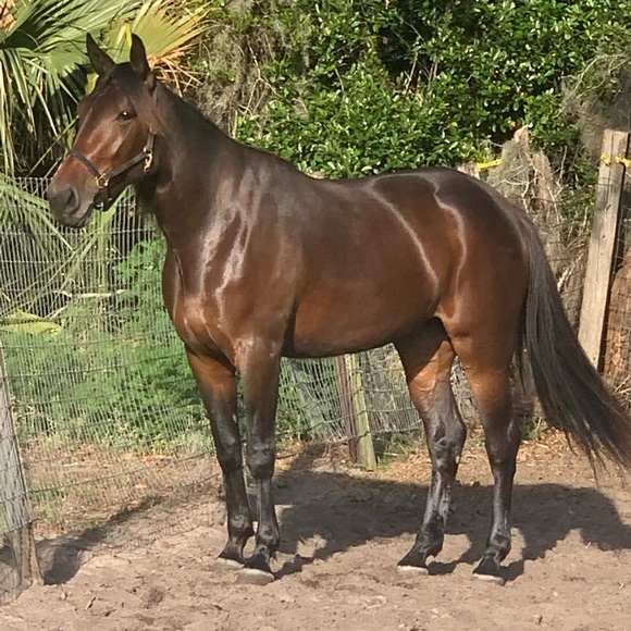 Meet your Posher, Corrine - Picture 3 of 3